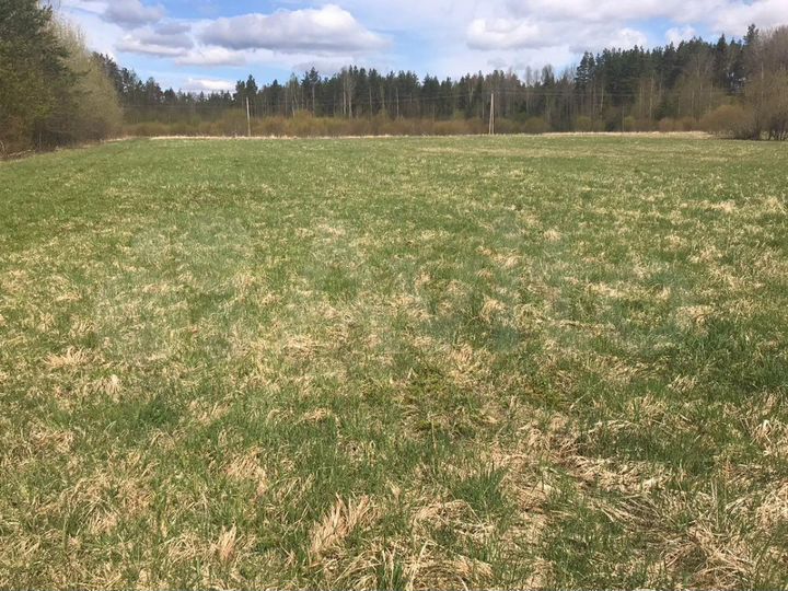 Участок 3,6 га (ИЖС)