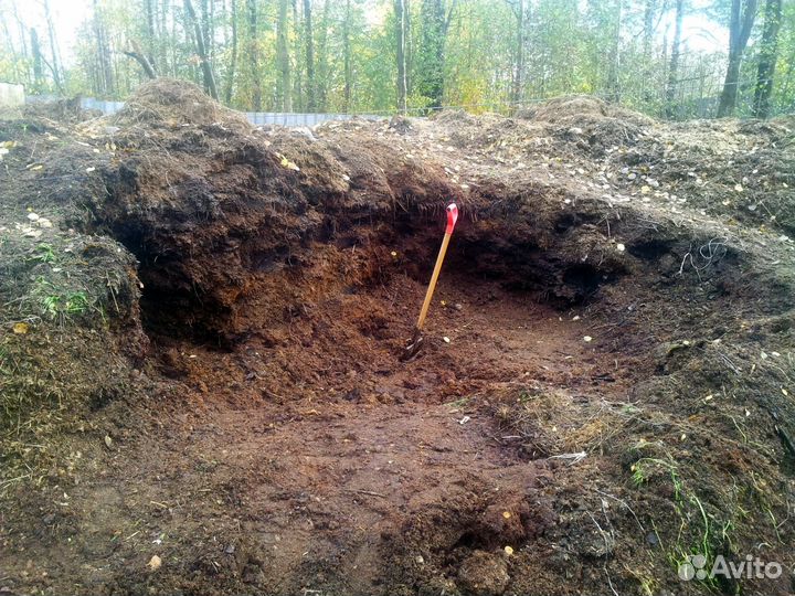 Конский навоз