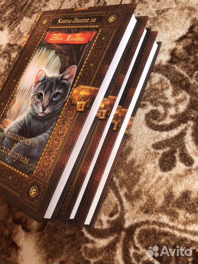 Коты воители второй цикл