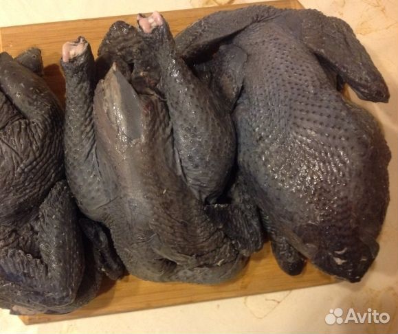 Инкубационное яйцо ухейилюй