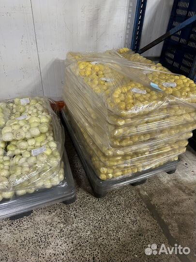 Овощи в вакуумной упоковке