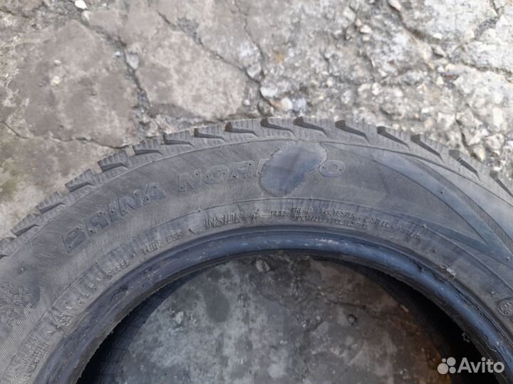 Viatti Brina Nordico V-522 175/65 R14