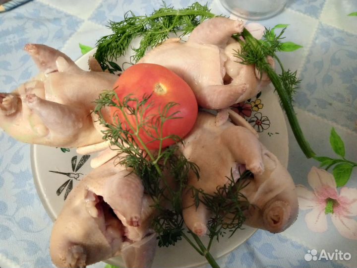 Перепелки тушки