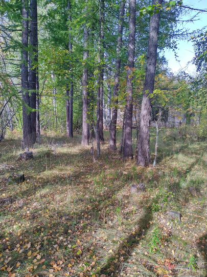 Дом 301,2 м² на участке 50 сот.