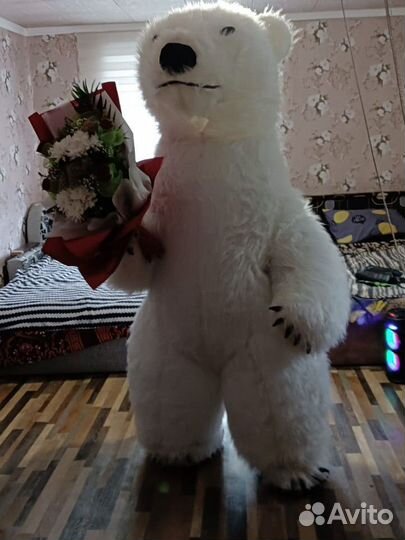 Услуги аниматора