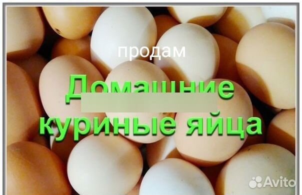 Домашние куриные яйца