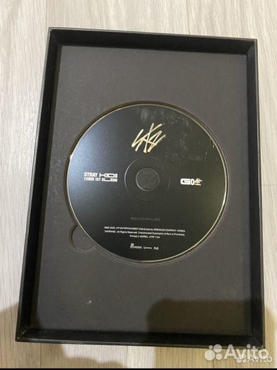 Лимитная версия альбома stray kids GO