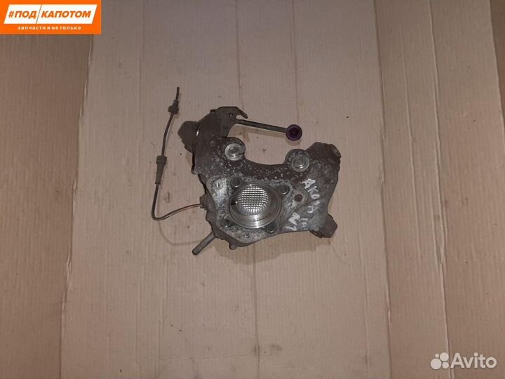 Кулак задний левый Honda Accord 8 (2007 - 2011)