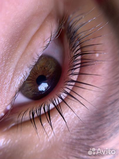 Обучение по ламинированию ресниц