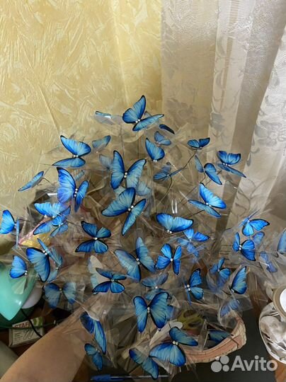 Букет из бабочек