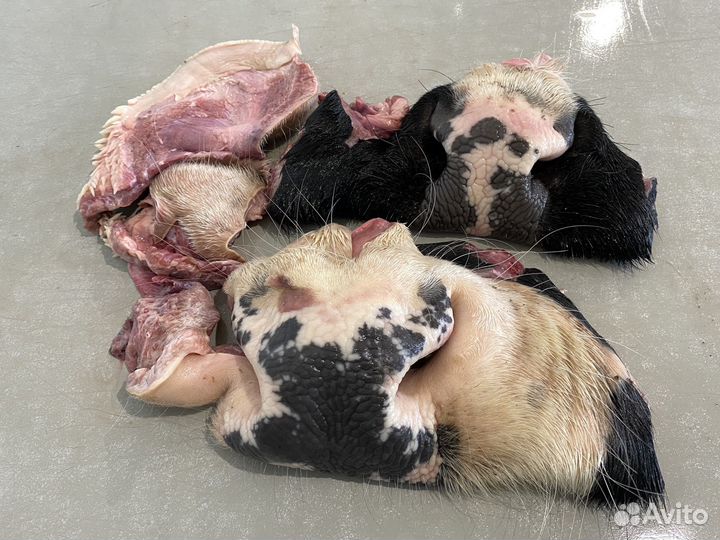 Носы говяжьи