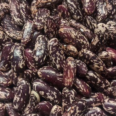 Замороженная полевая клубника