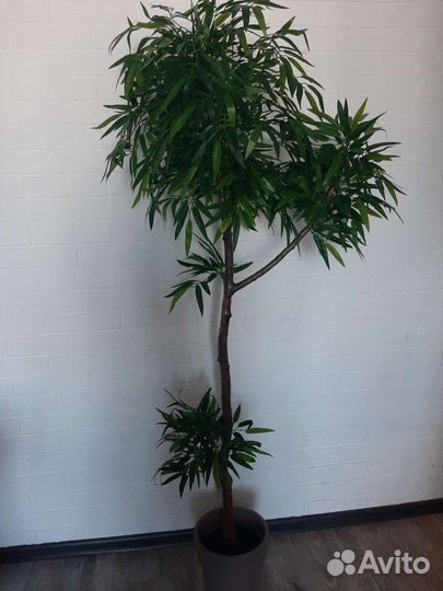 Искусственное дерево