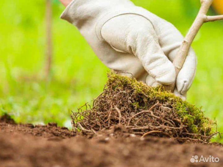 Плодородный грунт