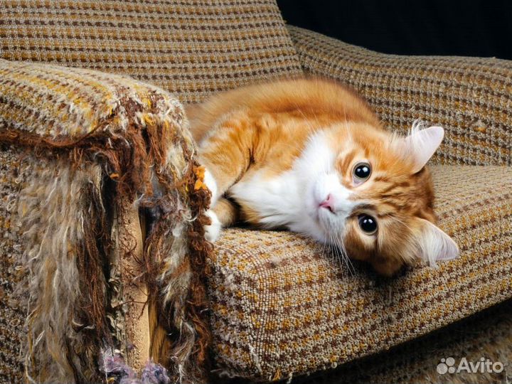 Перетяжка мебели