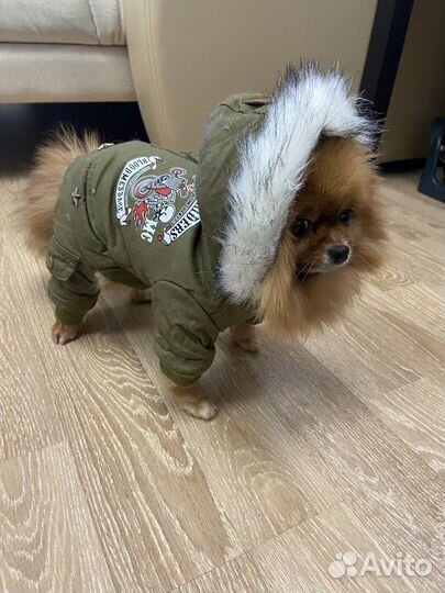 Зимняя куртка для собаки