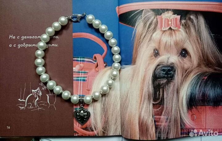 Ошейник для животных