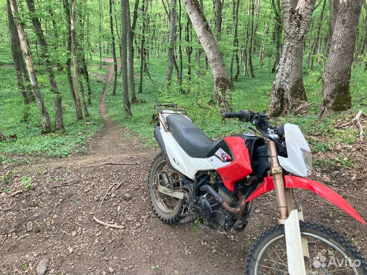 Irbis ttr 250r