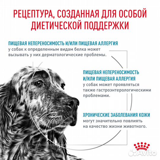 Royal Canin hypoallergenic для собак при аллергии