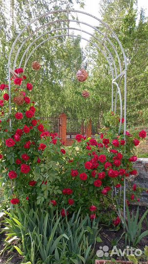 Арка садовая