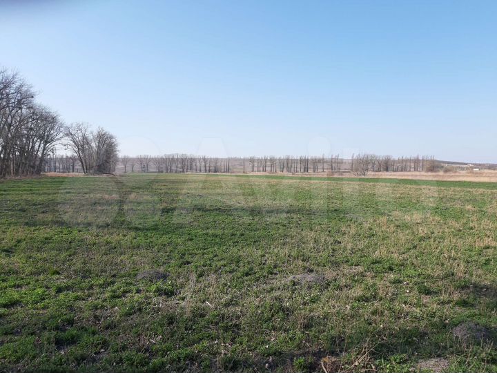 Участок 2,3 га (СНТ, ДНП)