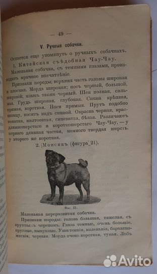 Эбергард Г. Собака, породы ея. СПб., 1912