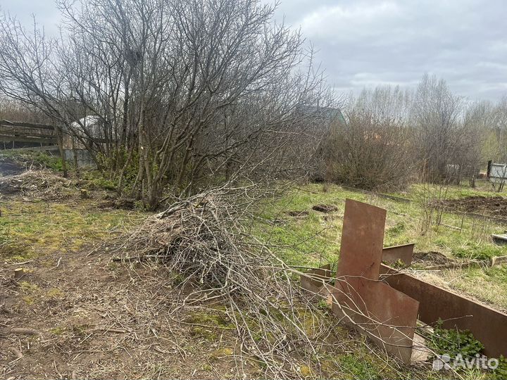 Измельчитель -дробилка,спил веток услуги