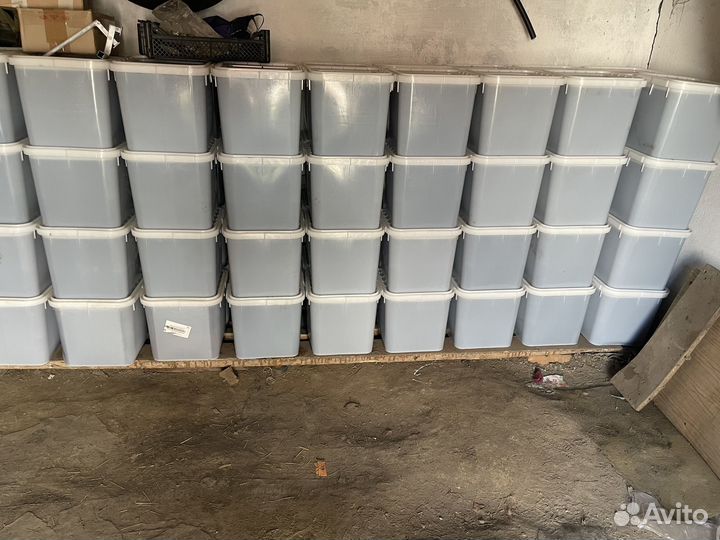 Продам мед оптом