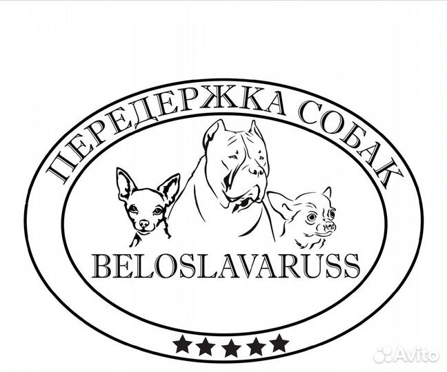 Передержка собак, зооняня, догситтер, зоогостиница