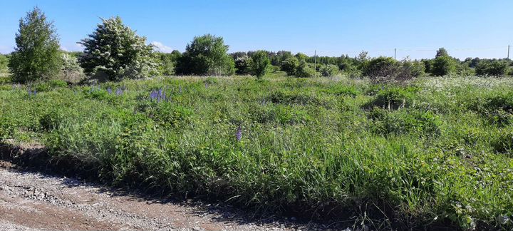 Участок 10 сот. (СНТ, ДНП)