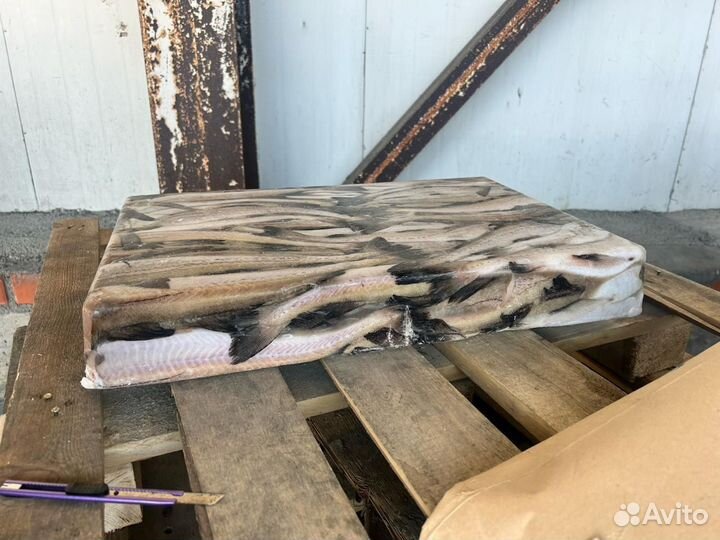 Филе минтая, минтай