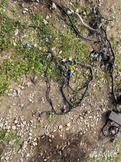 Подкапотная проводка Ford Focus 3