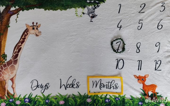 Фотоплед для новорожденных