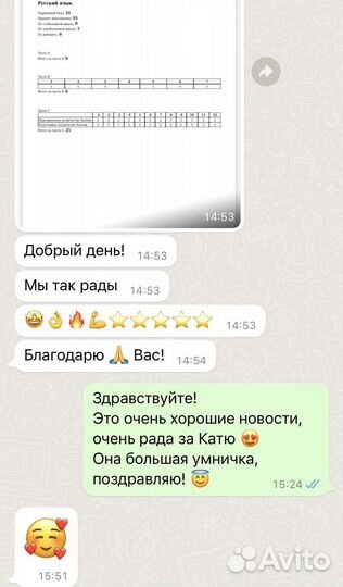 Репетитор по русскому языку и литературе