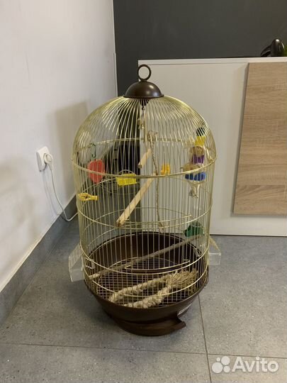 Клетка для попугая большая