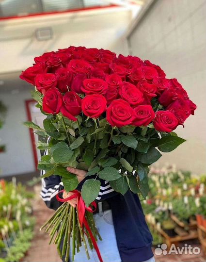 Высокие метровые розы