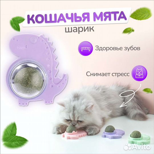 Кошачья мята шарик