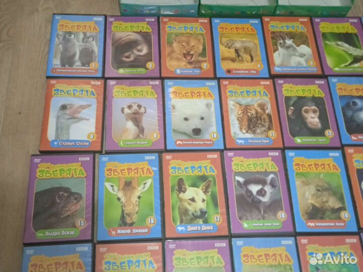 Видео - Диски про животных