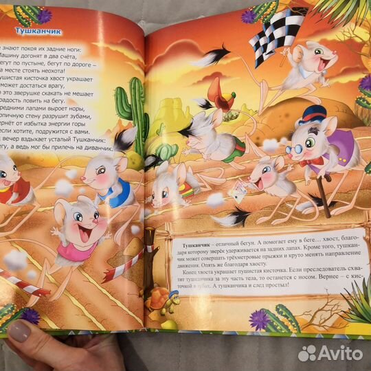 Книга о животных и азбука