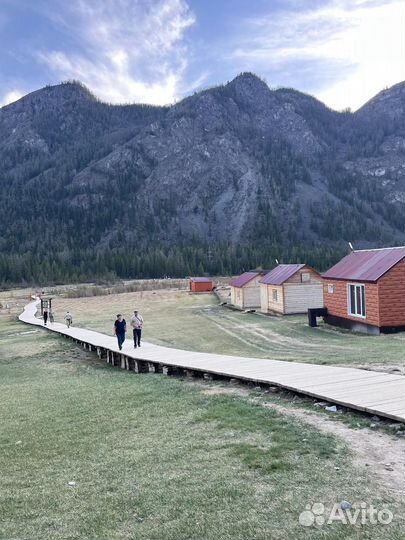 Туры по горному Алтаю