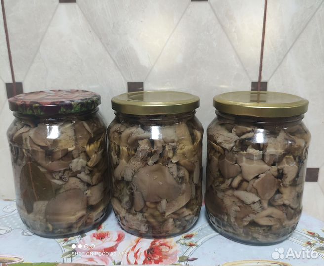 Грибы маринованные вешенки1