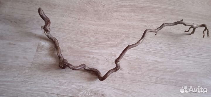 Интерьерная композиция 