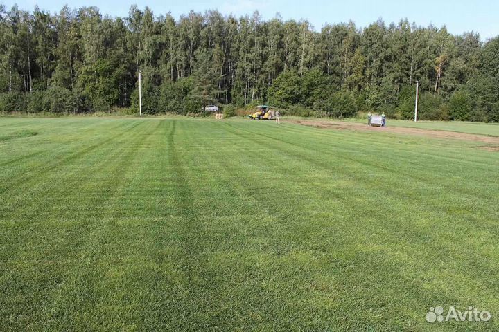 Рулонный газон /продажа/укладка