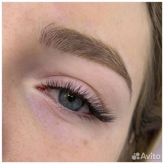 Мастер бровист