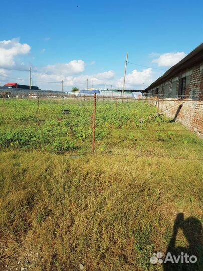 Животноводческая ферма