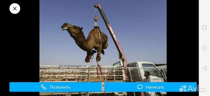 Услуги кму Камаз