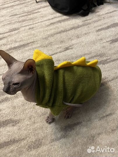 Однжда для кошки s