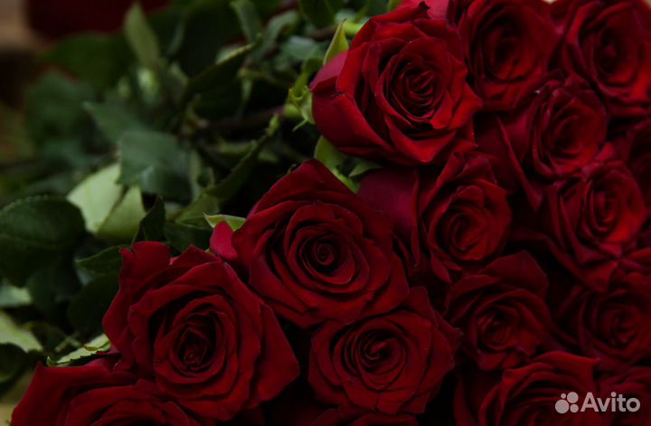 Доставка Роз
