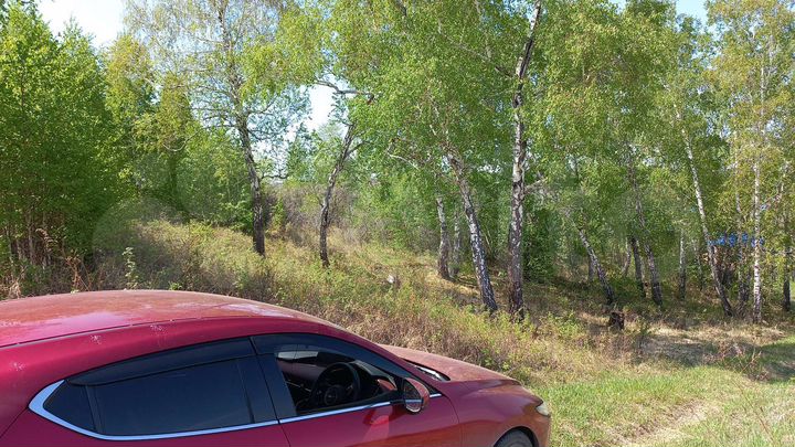 Участок 11 сот. (СНТ, ДНП)