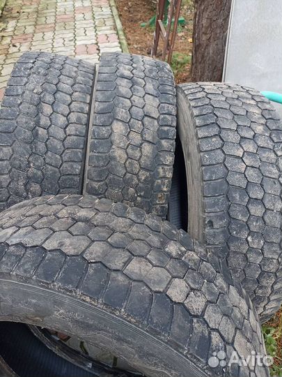 Шины 245/70r19.5